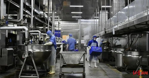 創(chuàng)新市場(chǎng)開拓新賽道 食品企業(yè)與電氣安裝服務(wù)的跨界融合