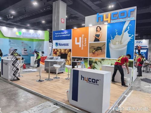 2026全球展臺(tái)設(shè)計(jì)與搭建服務(wù)商全覽 創(chuàng)新策劃引領(lǐng)未來(lái)展會(huì)新篇章